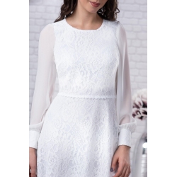 Precomenzi Annie 11785