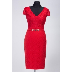 Delia 11081